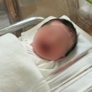 봄빛정원 | 봄빛병원 제왕절개 후기 - 출산부터 입원까지 기록