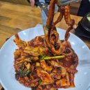김명자낙지마당 정자점 | ​[분당 정자동 맛집] 제대로 된 이열치열, "김명자 낙지마당"에서 즐긴 연포탕 & 낙지볶음 솔직 후기