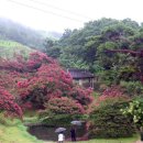 클래식과 재즈가 있는 오후의 산책 이미지