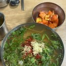 부산 서면시장 칼국수 기장손칼국수 아쉬웠던 후기