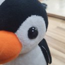 옥천수선