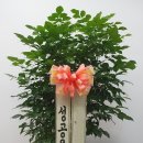 유정 Flower 이미지
