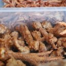 닭발의 꿈 이미지