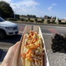 금악핫도그 | 🌭 제주 금악핫도그에서 아침 해결!금오름 가기 전에 먹고 갔는데… 진짜 너무 맛있다!!!