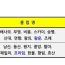 제21회 순천시 생활체육대축전 이미지