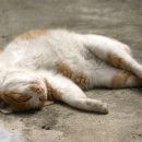 아이비당구장 이미지