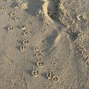 송정해변길 | 해변까지 총정리 (아라나비 바다하늘자전거, 독도네 꼬막, 송정해변, 형제장칼국수 후기, 웨이팅 정보 )