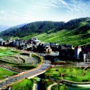 알펜시아 컨트리클럽 이미지