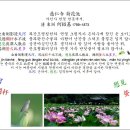 古方[5711] 何紹基(하소기)-慈仁寺荷花池(자인사하화지) 이미지