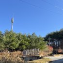 인제자연학교 캠핑장 | 🍁[강원도 인제 캠핑장] 단풍과 별이 쏟아지는 진동리 국민여가캠핑장 후기