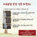 태주농장 티스토리