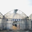 나눔농장 이미지