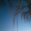 남문시장 이미지