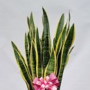 매자리길 이미지