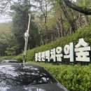 치유의숲 공중화장실 이미지