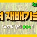 🌾 [수도작 4편] 벼 재배 기술 기초 강의_ 벼종자 파종량, 상토 물관리, 모판 쌓기, 모판 치상 누보농장 이미지