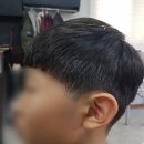 리 (Lee) 헤어 이미지