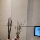 연변왕꼬치 - 군포시 산본천로215번길 24 | 연변왕꼬치