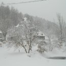 이주농장 이미지