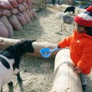 남경농장 이미지