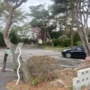소댕이 | ✿ 천안 ✿ 토끼 먹이 주기 체험도 하면서 커피한잔 까지, 아이와 함께 가기 좋은 한적한 카페 • 소댕이 •