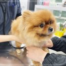 주안동물병원 이미지