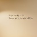 스타켓 이미지