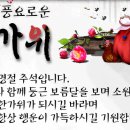 엠티브이9로 이미지