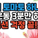 매일 토마토 하나에 이 운동 3분만 하면 전립선 걱정 끝!-시니어일상톡톡 이미지
