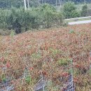 고현저수지 이미지