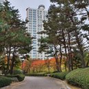 죽전자이공인중개사사무소 이미지