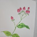 윤아트스튜디오 네이버블로그