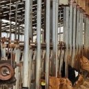 경인축산 이미지