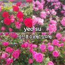 세븐일레븐 여수성산공원점 | 장미원 &amp;분수대&amp;둘레길로 유명한 여수 성산호수공원