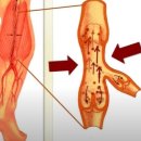 본 힐링하우스 이미지