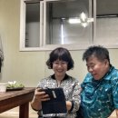 녹색지대허브다이어트