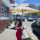 바앤가라오케 | [호주] 멜버른 필수 여행 코스, 현지인이 추천하는 피츠로이 맛집&카페&놀거리