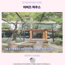국제씽크인테리어 | 아버즈 하우스 후기 치앙마이 님만해민 가성비 숙소 추천