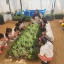 하리 농장 이미지