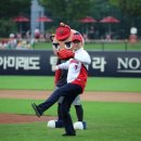 해남야구장 이미지