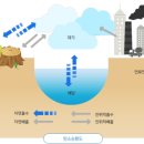 창조환경 이미지