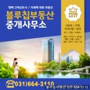 블루칩부동산공인중개사사무소 이미지