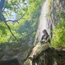 청송사슴농장 | 등산 초보를 위한 경상도 가볼만한 산 모음