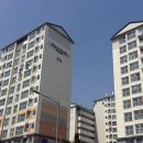 강남-264 이미지