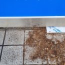 삼성명품세탁 이미지