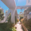 5959 내강아지 이미지