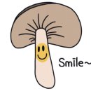 구림약국 이미지