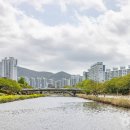 연동시장 - 제주시 | 연동시장