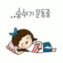 새우매니아