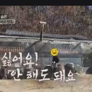 전통묵밥;국수 - 9713 | 전통묵밥;국수